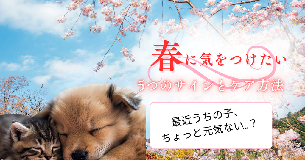 「最近うちの子、ちょっと元気ない…?」春に気をつけたい5つのサインとケア方法