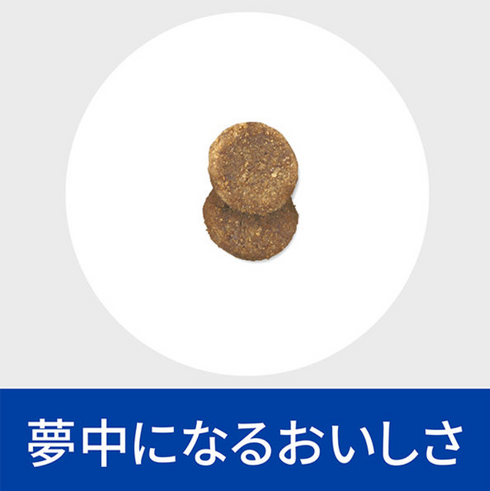 ヒルズ 猫用 腸内バイオーム コンフォート 繊維&消化ケア チキン 食事療法食