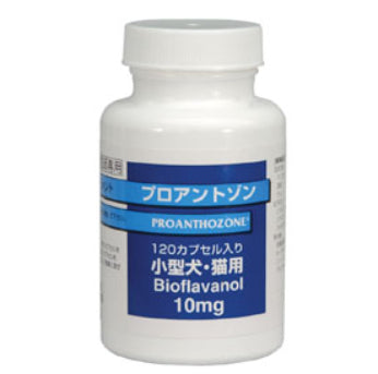 【サプリメント】プロアントゾン 小型犬・猫用 120カプセル 共立製薬
